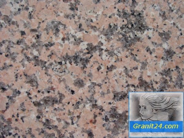 Rosa Dante Extra – Materialansicht